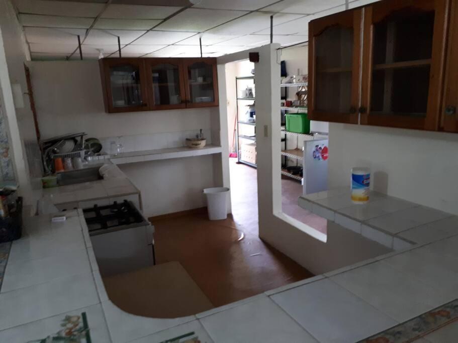 Gia'S Garage & Home For Bocas Travelers Almirante エクステリア 写真