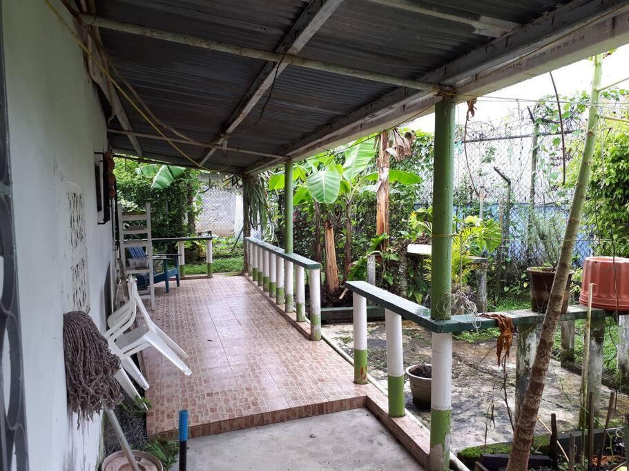 Gia'S Garage & Home For Bocas Travelers Almirante エクステリア 写真