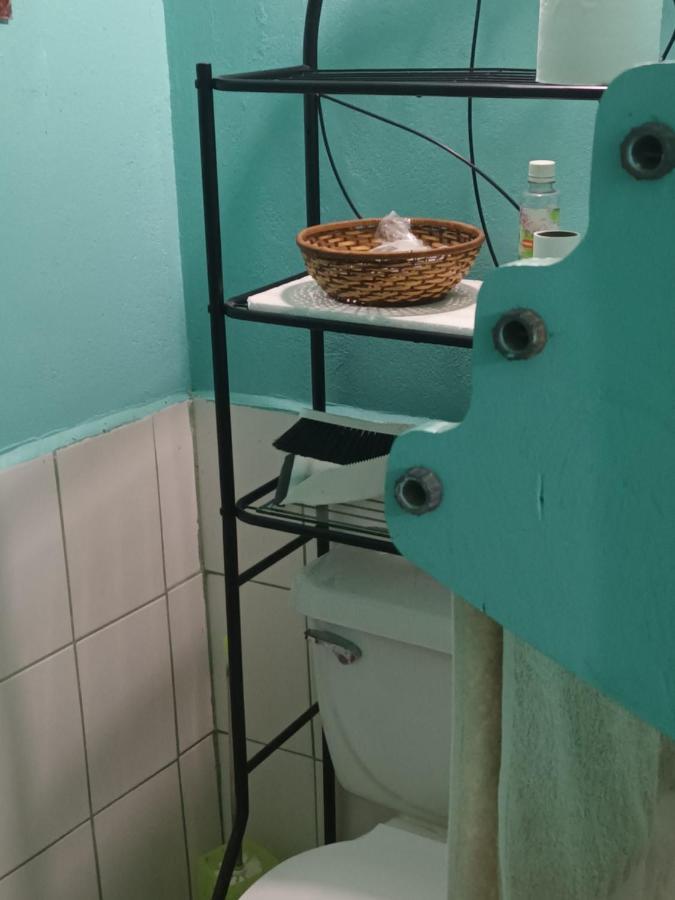 Gia'S Garage & Home For Bocas Travelers Almirante エクステリア 写真